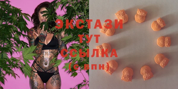 индика Аркадак