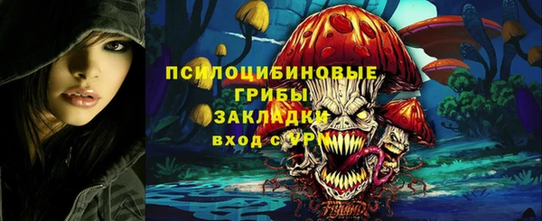 индика Аркадак
