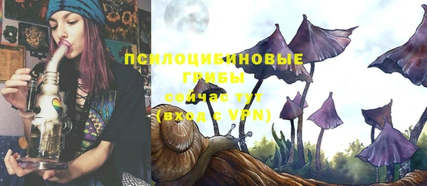 меф Арсеньев