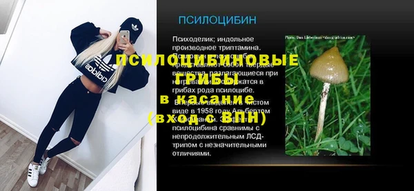 меф Арсеньев